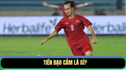 Tiền Đạo Cắm Là Gì? Phân Biệt Với Tiền Đạo Lùi Và Cánh